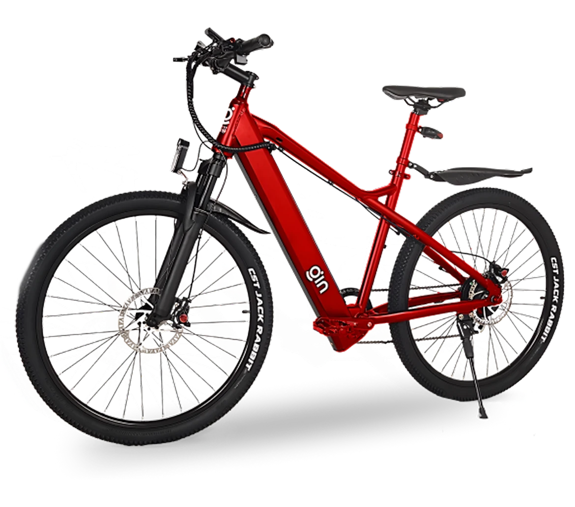 Сучасні електровелосипеди